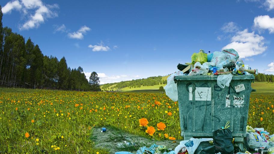 Müllhalde in der Natur. 