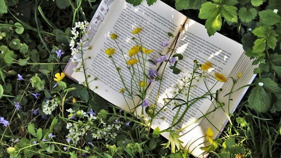 lesen, Natur