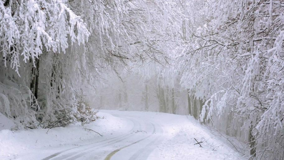 Weg durch verschneite Winterlandschaft