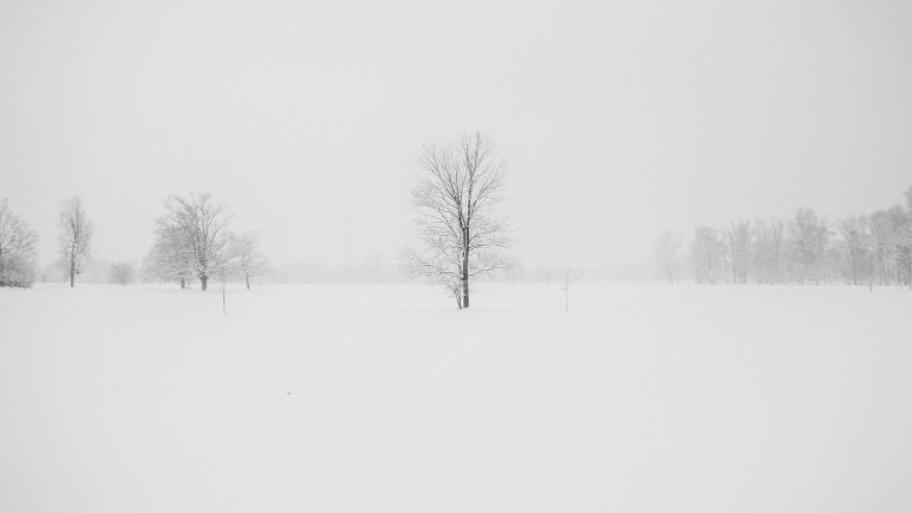 Verschneite Landschaft mit kahlem Baum