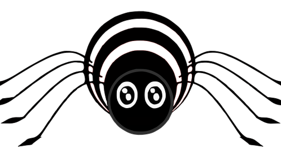 Illustration einer Spinne