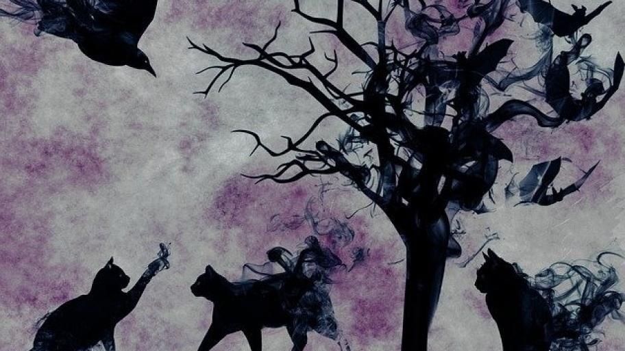 Vampirkatzen