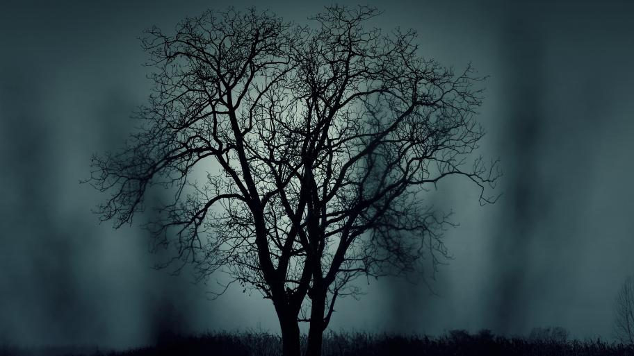 Ein Baum steht auf einer dunklen, nebeligen Wiese.