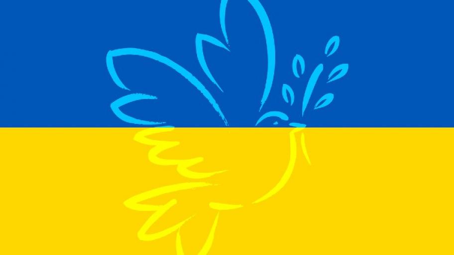 die ukrainischen Nationalfarben, unten gelb, oben blau, darauf in weiß die Umrisse einer Friedenstaube mit Olivenzweig im Schnabel 