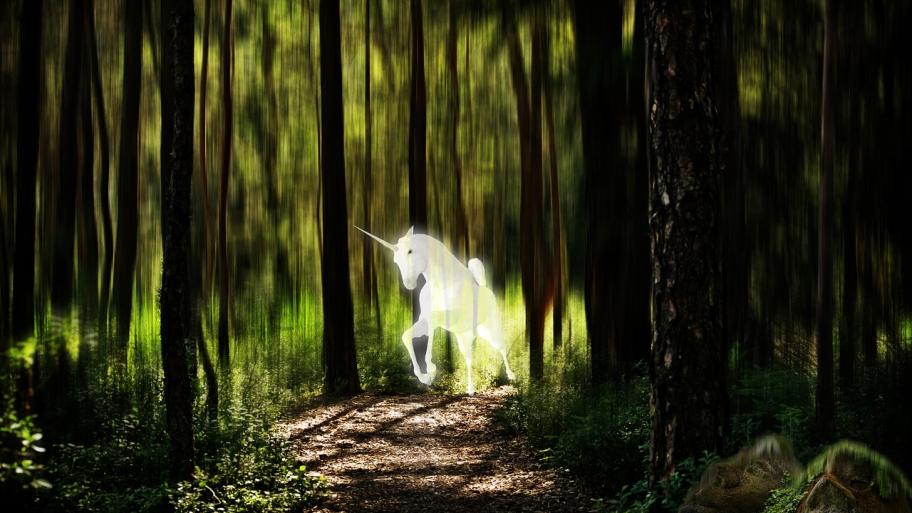 Ein Einhorn im Wald