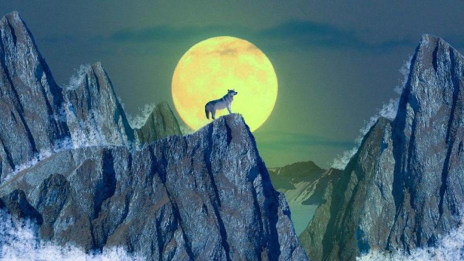 ein Wolf steht nachts auf einem Felsen und heult den Mond an, hinter ihm groß, rund und golden der Mond, drumherum der Nachthimmel und Berge
