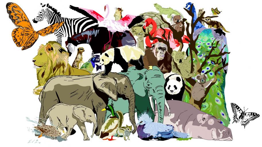Illustration: Zootiere