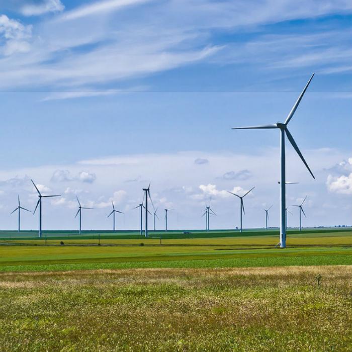 Ein Windpark in Rumänien.