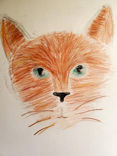 Zeichnung eines rotbraunen Katzenkopfes von vorne, grüne Augen, dunkle Schnurrhaare