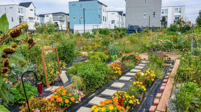 Ein Garten mit Häusern im Hintergrund.